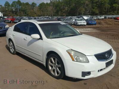 2008 Nissan MAXIMA Maxima SE, белый — VIN 1N4BA41E58C809310, Copart