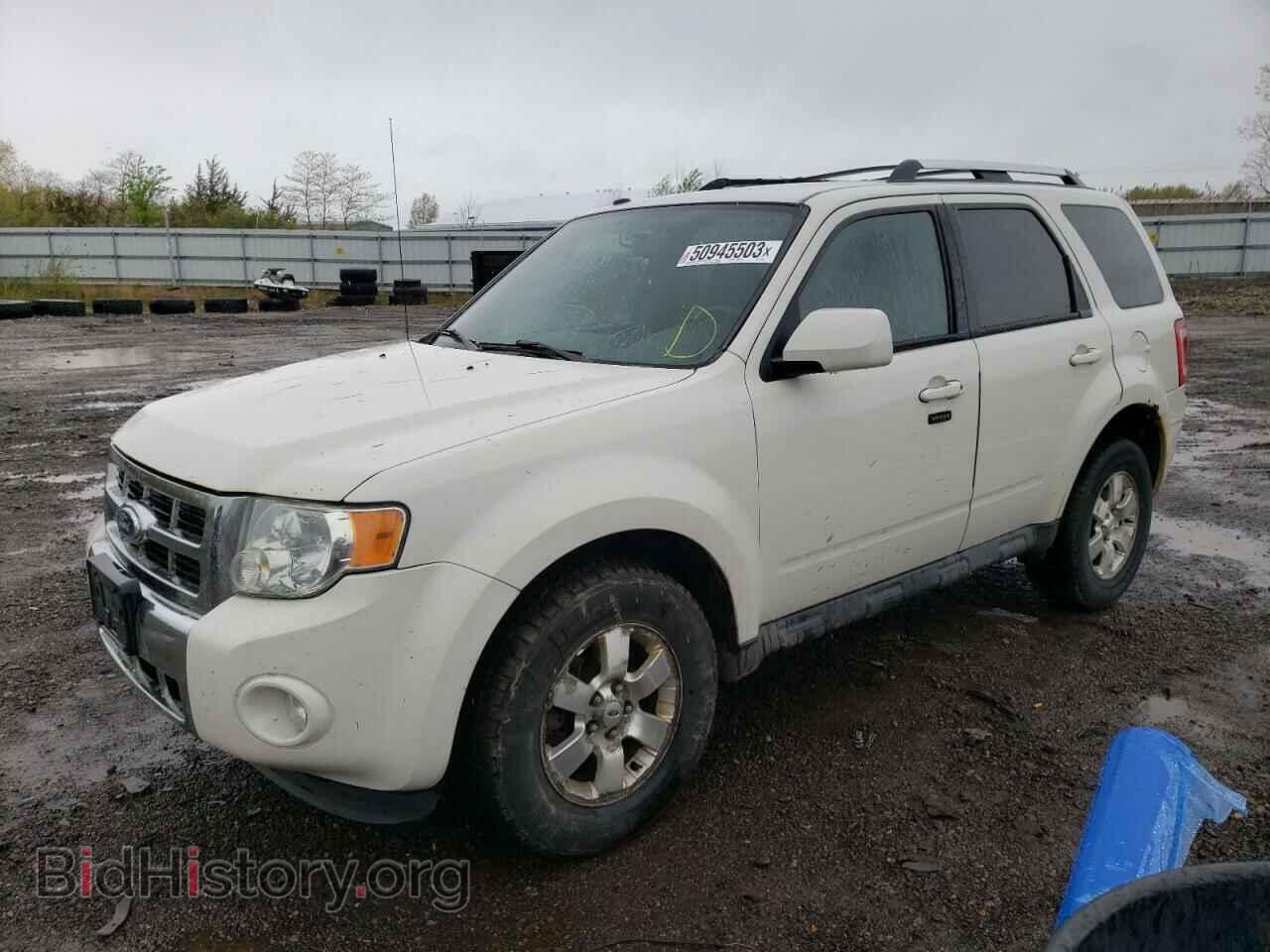 Фотография 1FMCU0EG1AKB77441 - FORD ESCAPE 2010