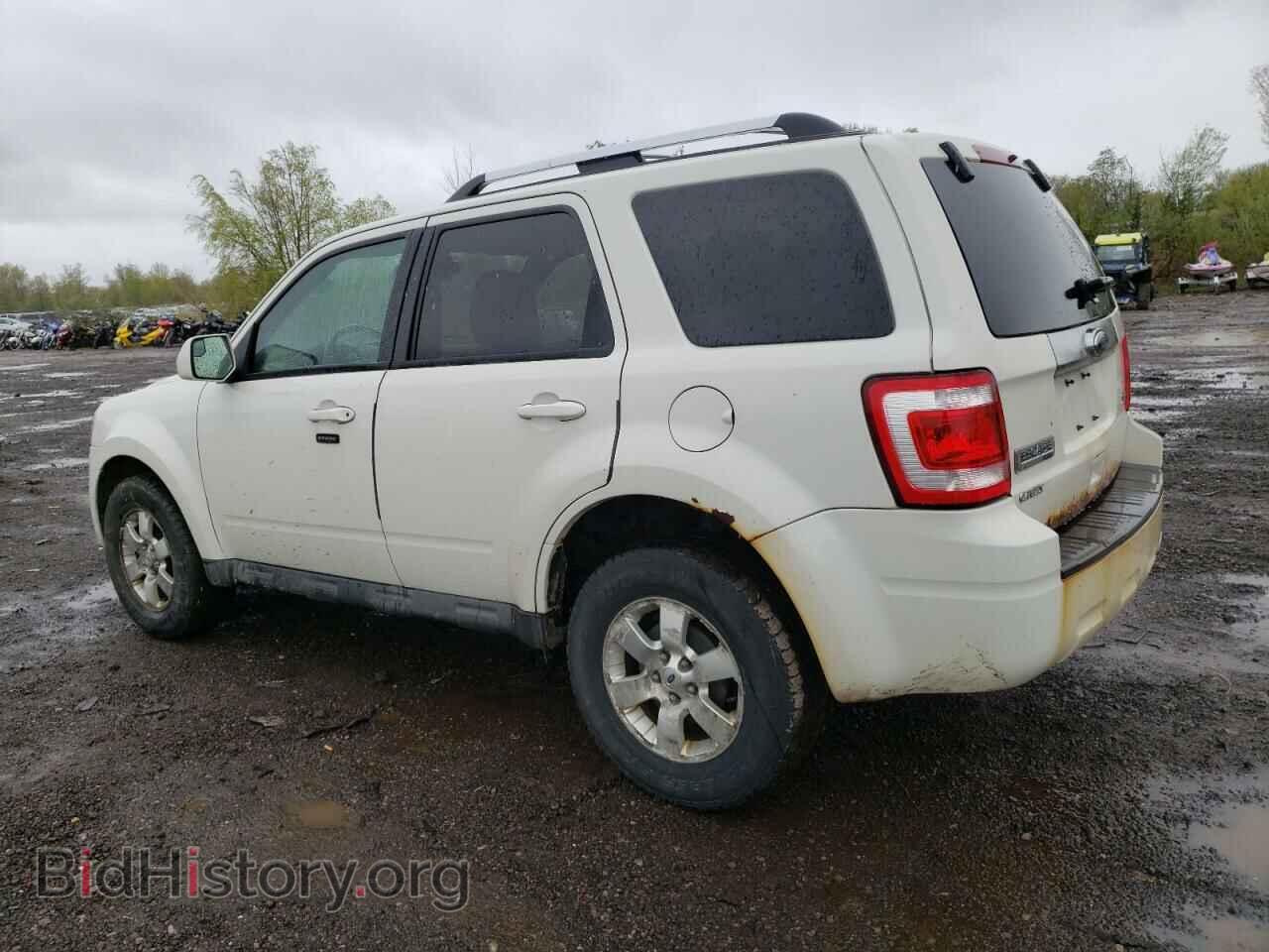 2010 FORD ESCAPE - VIN: 1FMCU0EG1AKB77441 - Фото 2