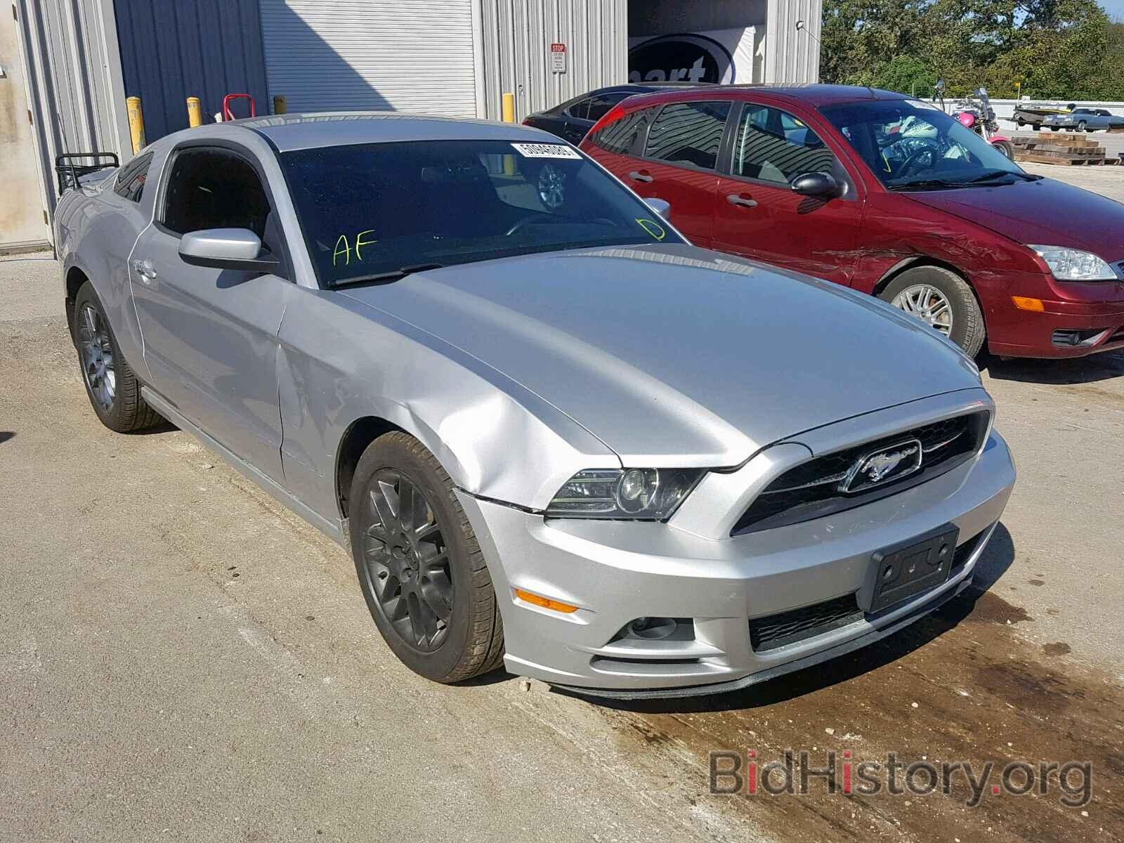 Photo 1ZVBP8AM5D5218932 - FORD MUSTANG 2013