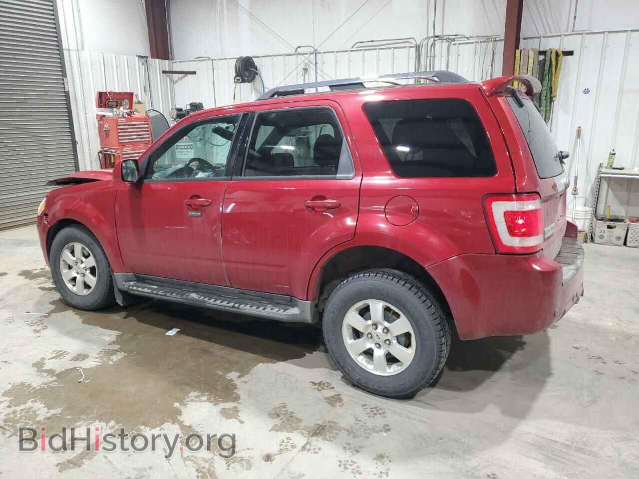 2011 FORD ESCAPE - VIN: 1FMCU9EG4BKA33453 - Фото 2