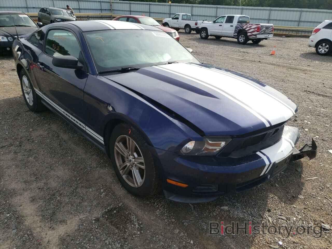 Photo 1ZVBP8AN5A5180087 - FORD MUSTANG 2010