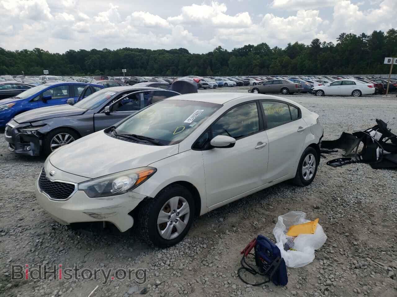 2014 KIA FORTE - VIN: KNAFK4A69E5073745 - Photo 2