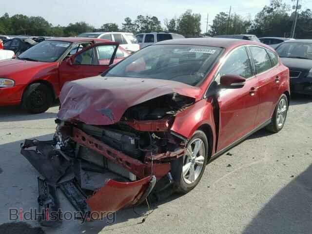 2014 FORD FOCUS - VIN: 1FADP3K25EL177474 - Фото 2