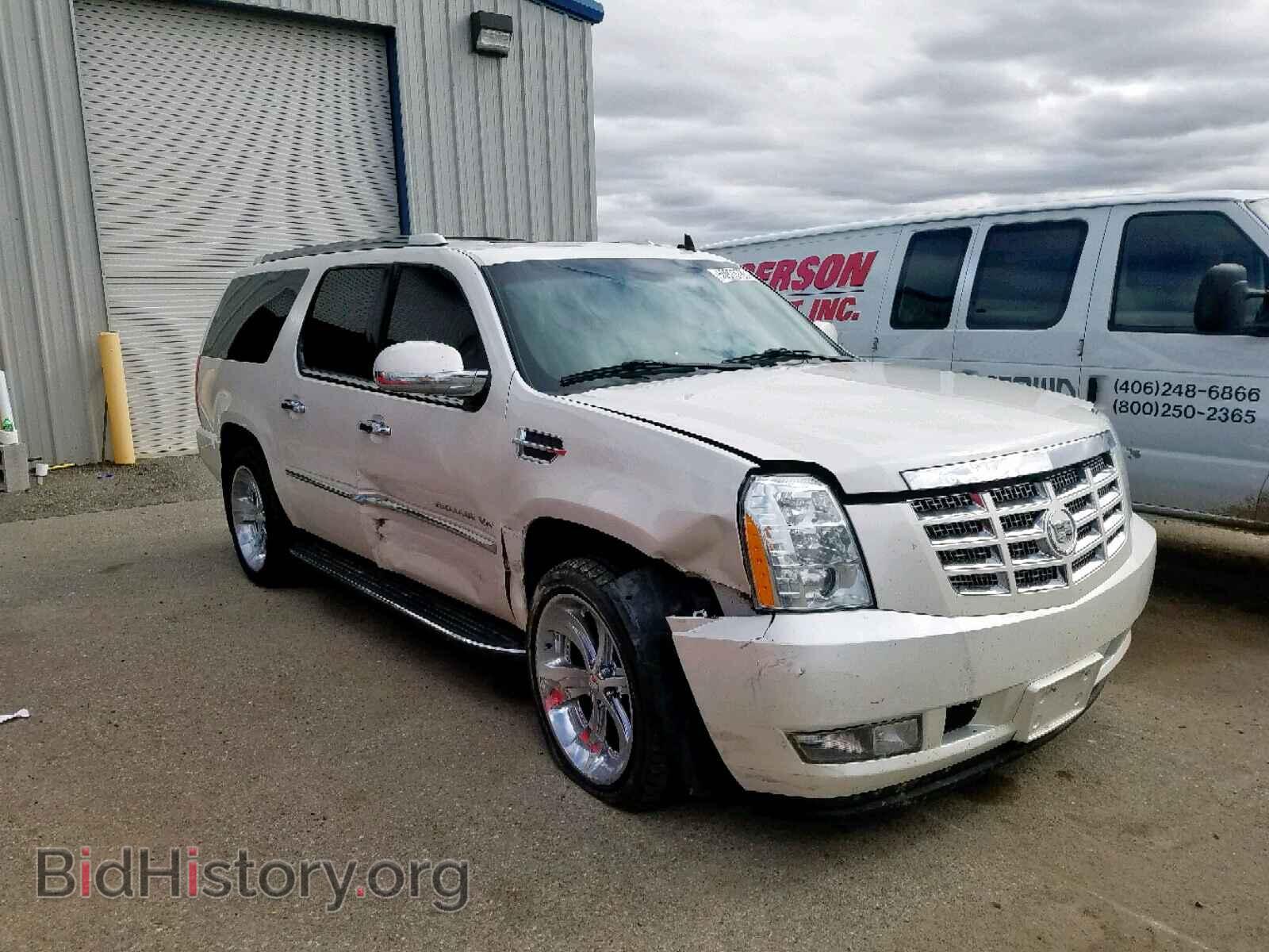 Photo 1GYS4HEF2BR378922 - CADILLAC ESCALADE E 2011