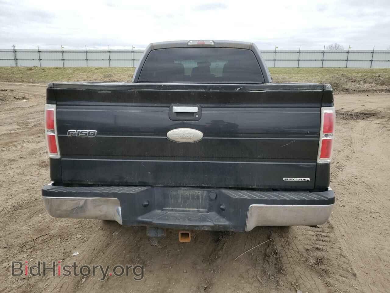 2011 FORD F-150 - VIN: 1FTFX1EF5BFA97625 - Фото 6