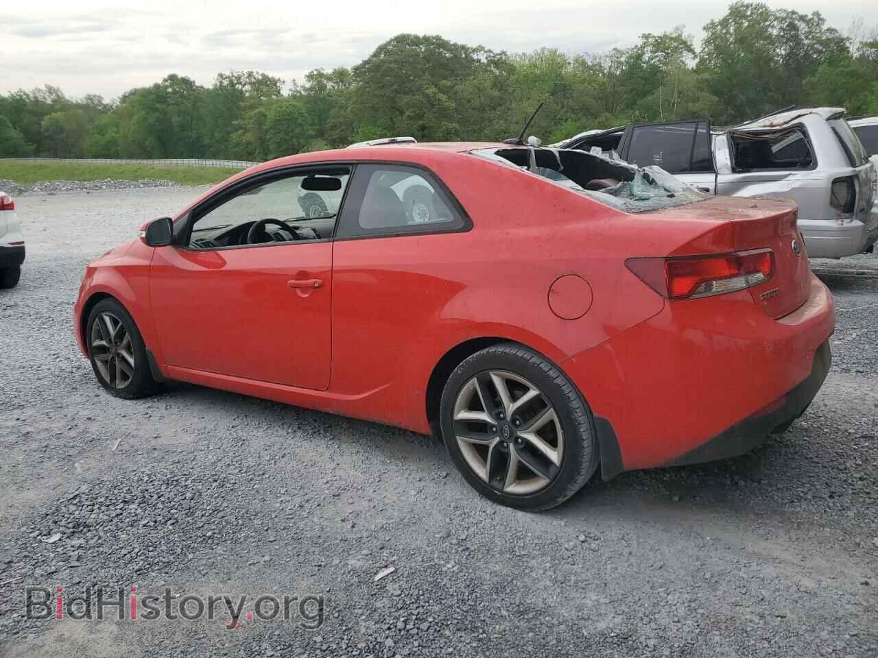 2010 KIA FORTE - VIN: KNAFW6A30A5178352 - Фото 2