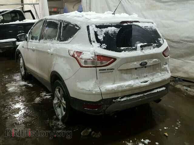 2014 FORD ESCAPE - VIN: 1FMCU9GX1EUD41007 - Фото 3