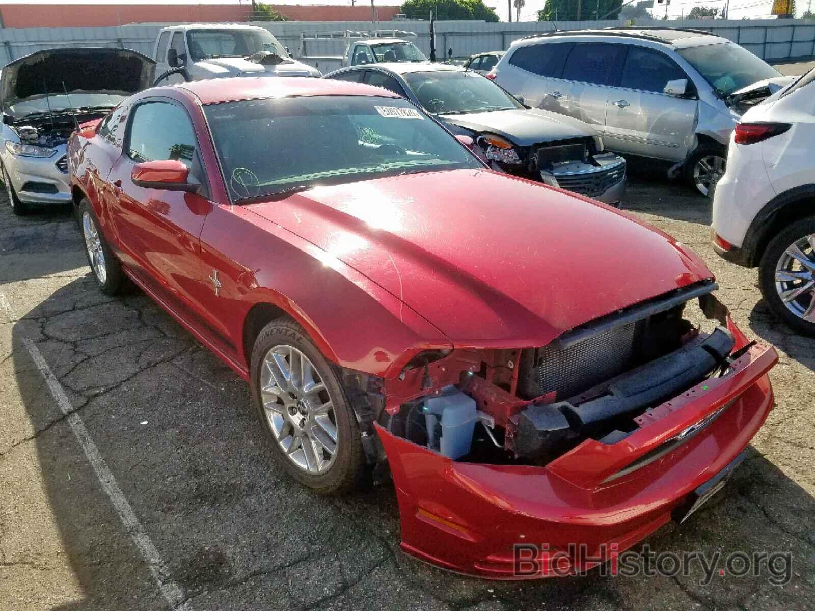 Photo 1ZVBP8AM7D5232413 - FORD MUSTANG 2013