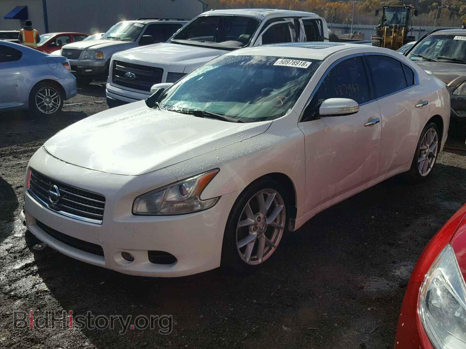 2009 NISSAN MAXIMA S - VIN: 1N4AA51EX9C816921 - Фото 2