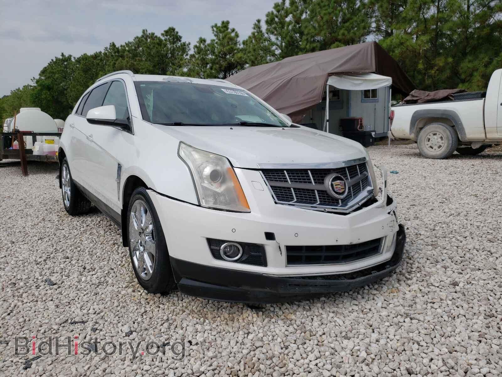 Фотография 3GYFNCE38CS584526 - CADILLAC SRX 2012