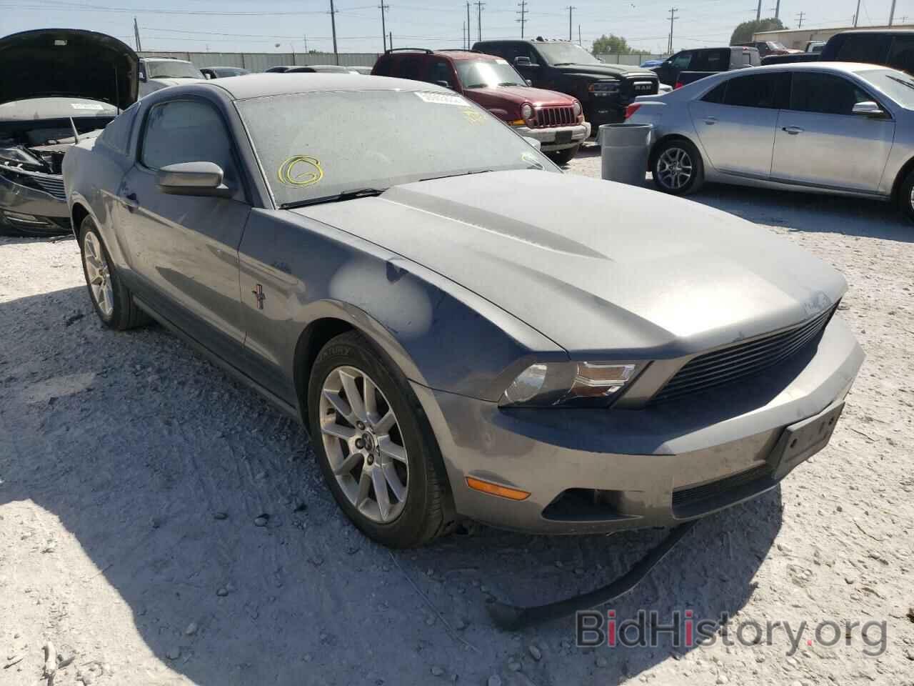 Photo 1ZVBP8AN1A5115642 - FORD MUSTANG 2010