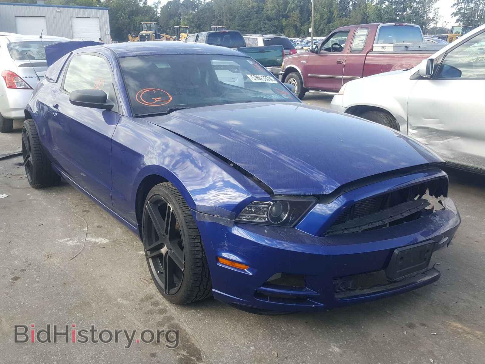 Photo 1ZVBP8AM1E5280457 - FORD MUSTANG 2014