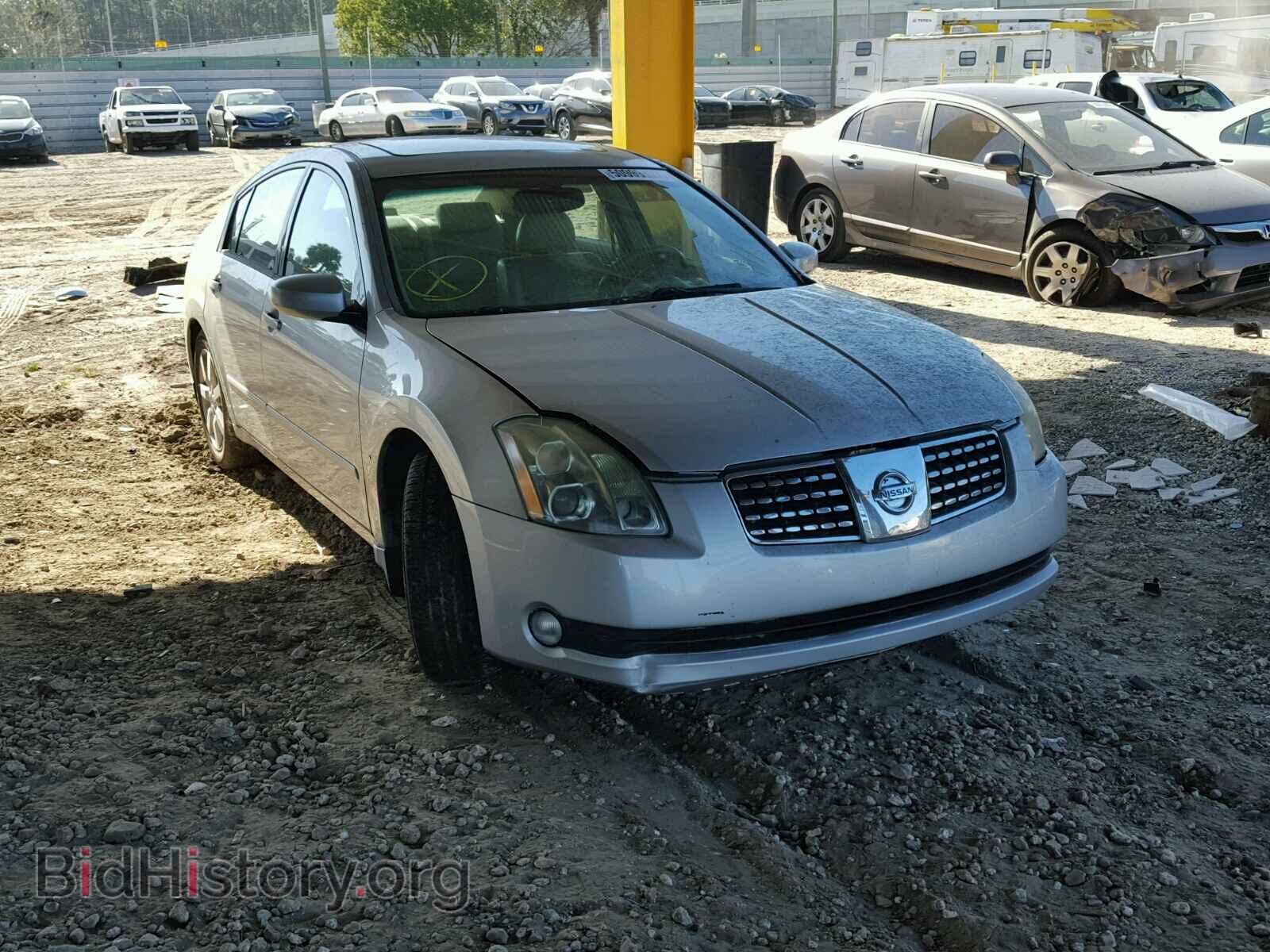 Photo 1N4BA41E35C855424 - NISSAN MAXIMA 2005