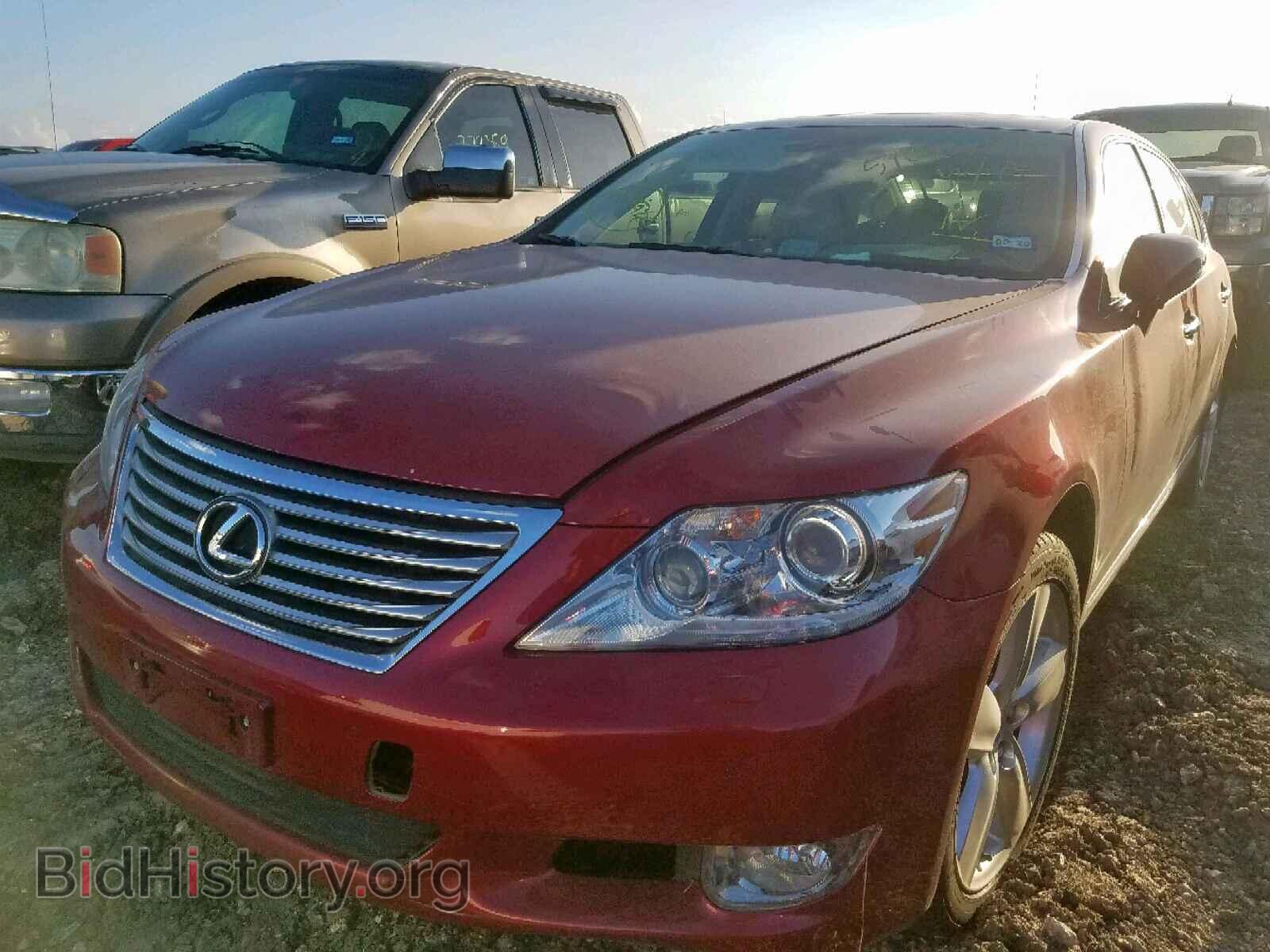 2010 LEXUS LS460 - VIN: JTHGL5EF7A5038845 - Фото 2