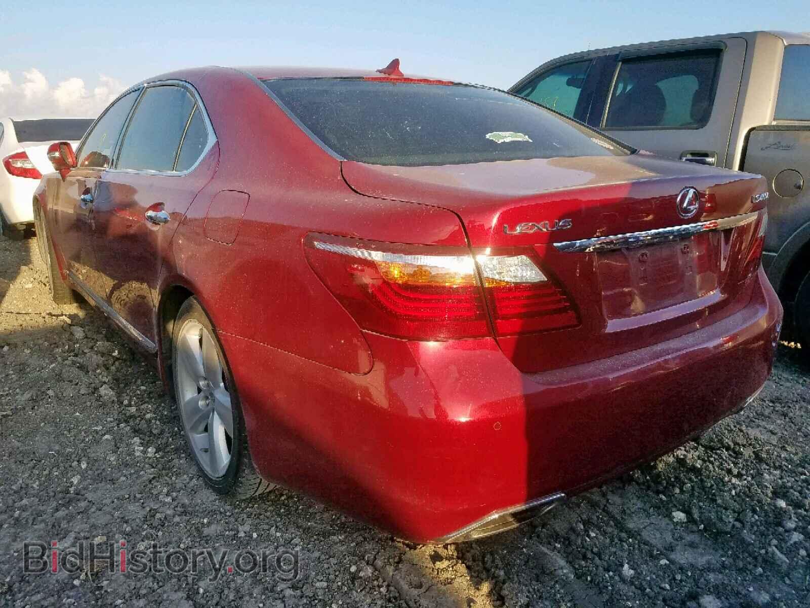 2010 LEXUS LS460 - VIN: JTHGL5EF7A5038845 - Фото 3