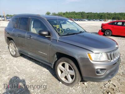 2011 Jeep COMPASS Compass LI, gray — VIN 1J4NT5FB3BD224873, Copart