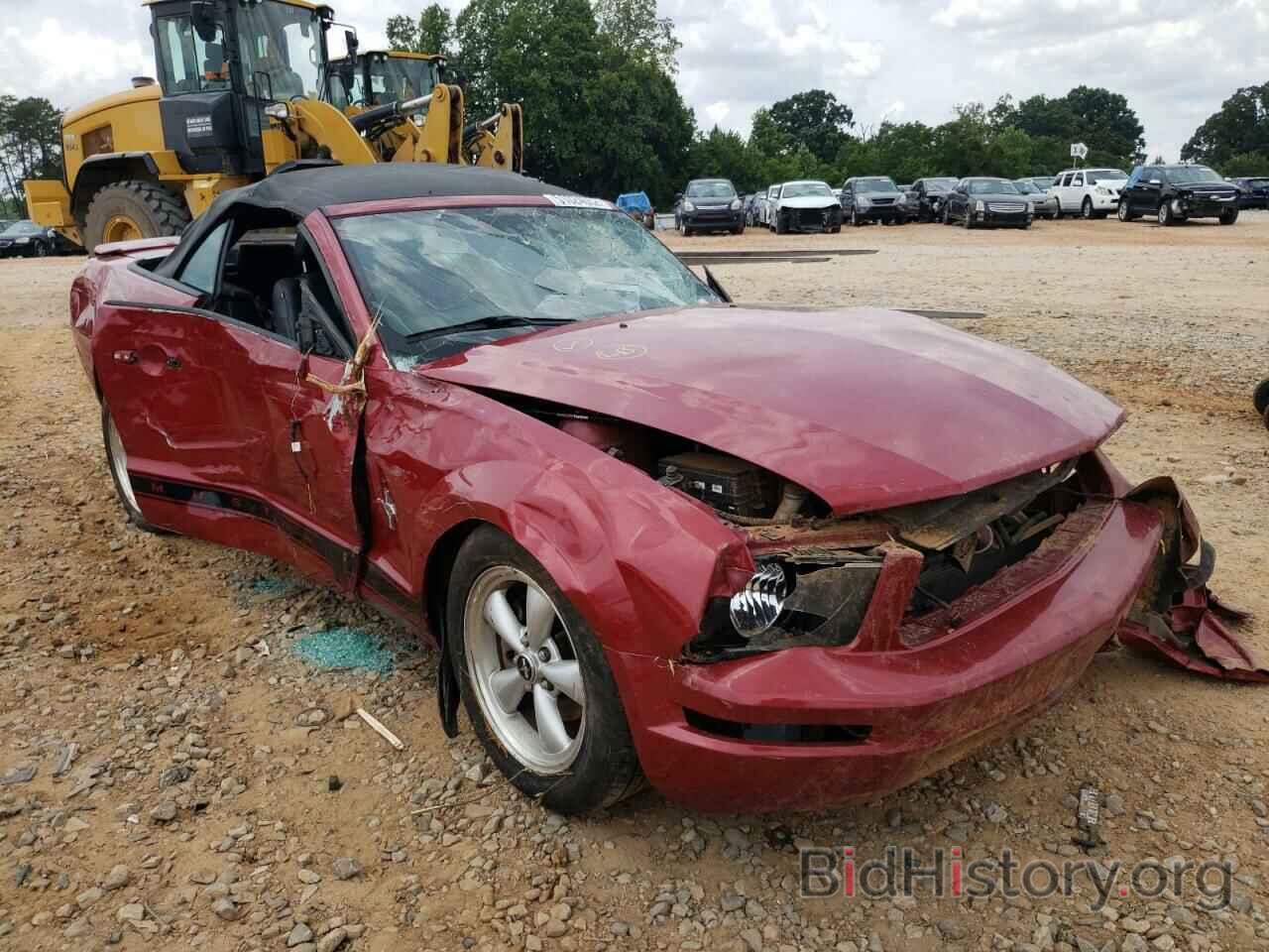 Photo 1ZVHT84N085103865 - FORD MUSTANG 2008