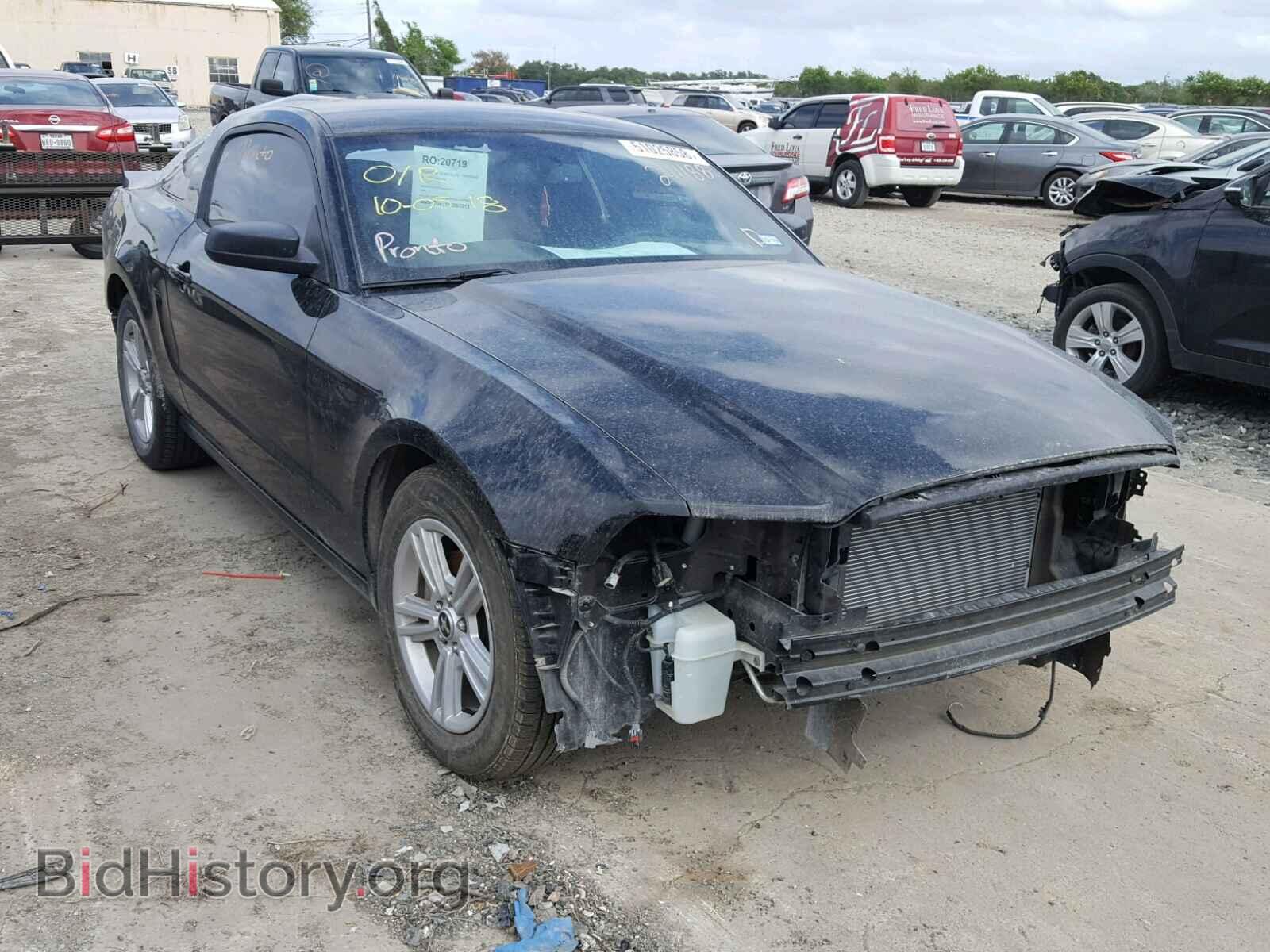 Photo 1ZVBP8AM5D5241188 - FORD MUSTANG 2013