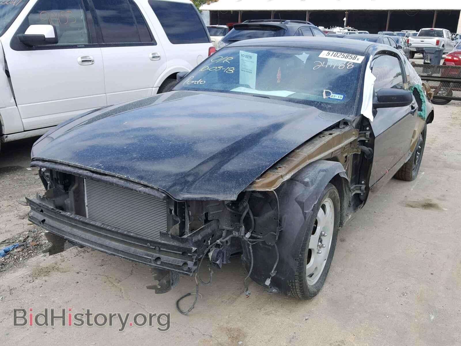 2013 FORD MUSTANG - VIN: 1ZVBP8AM5D5241188 - Фото 2