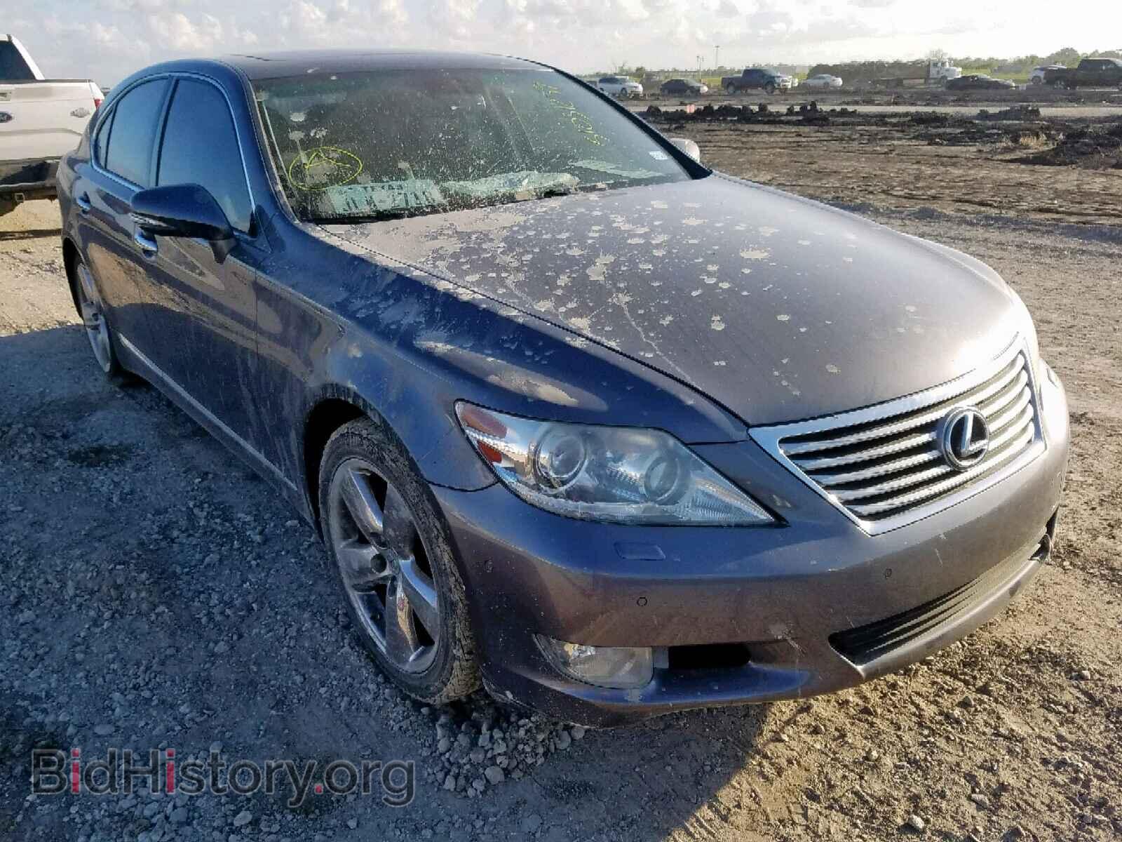 Фотография JTHBL5EF7C5110012 - LEXUS LS460 2012