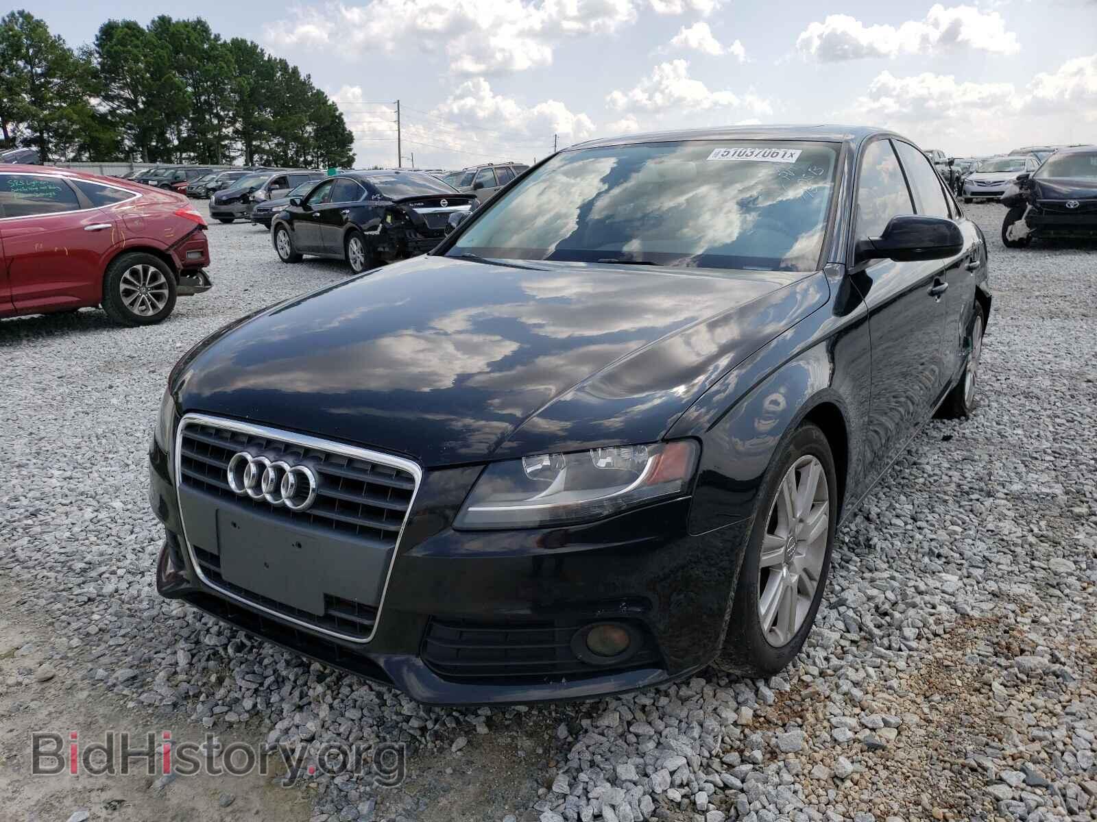 2010 AUDI A4 - VIN: WAUAFBFL4AN020513 - Фото 2