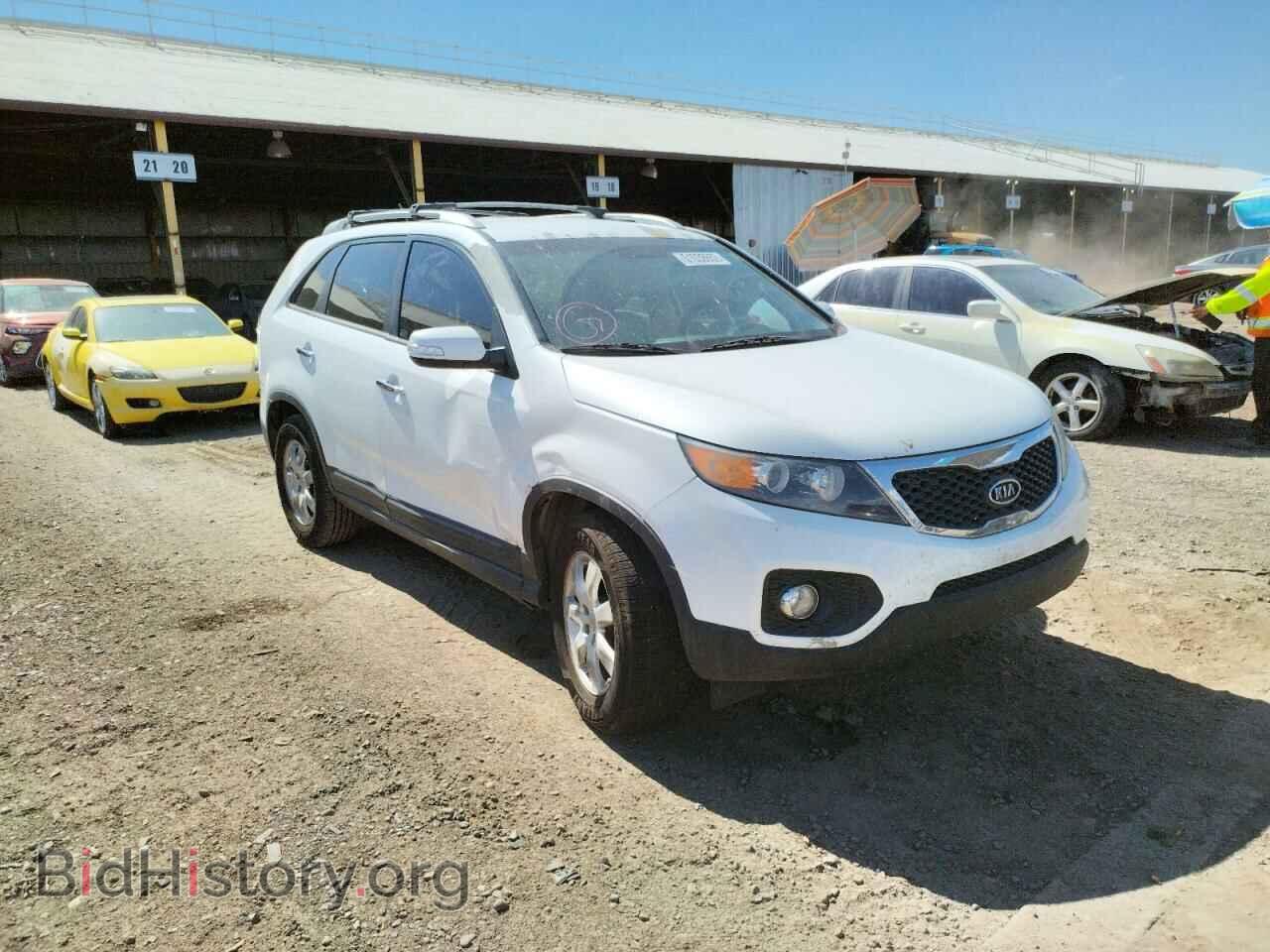 Фотография 5XYKT3A60DG413248 - KIA SORENTO 2013