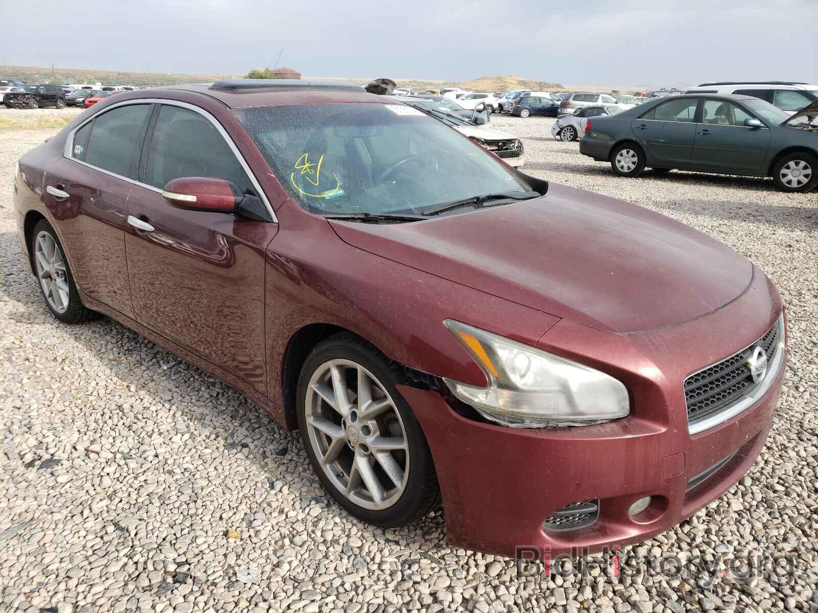 Фотография 1N4AA5AP4BC808935 - NISSAN MAXIMA 2011