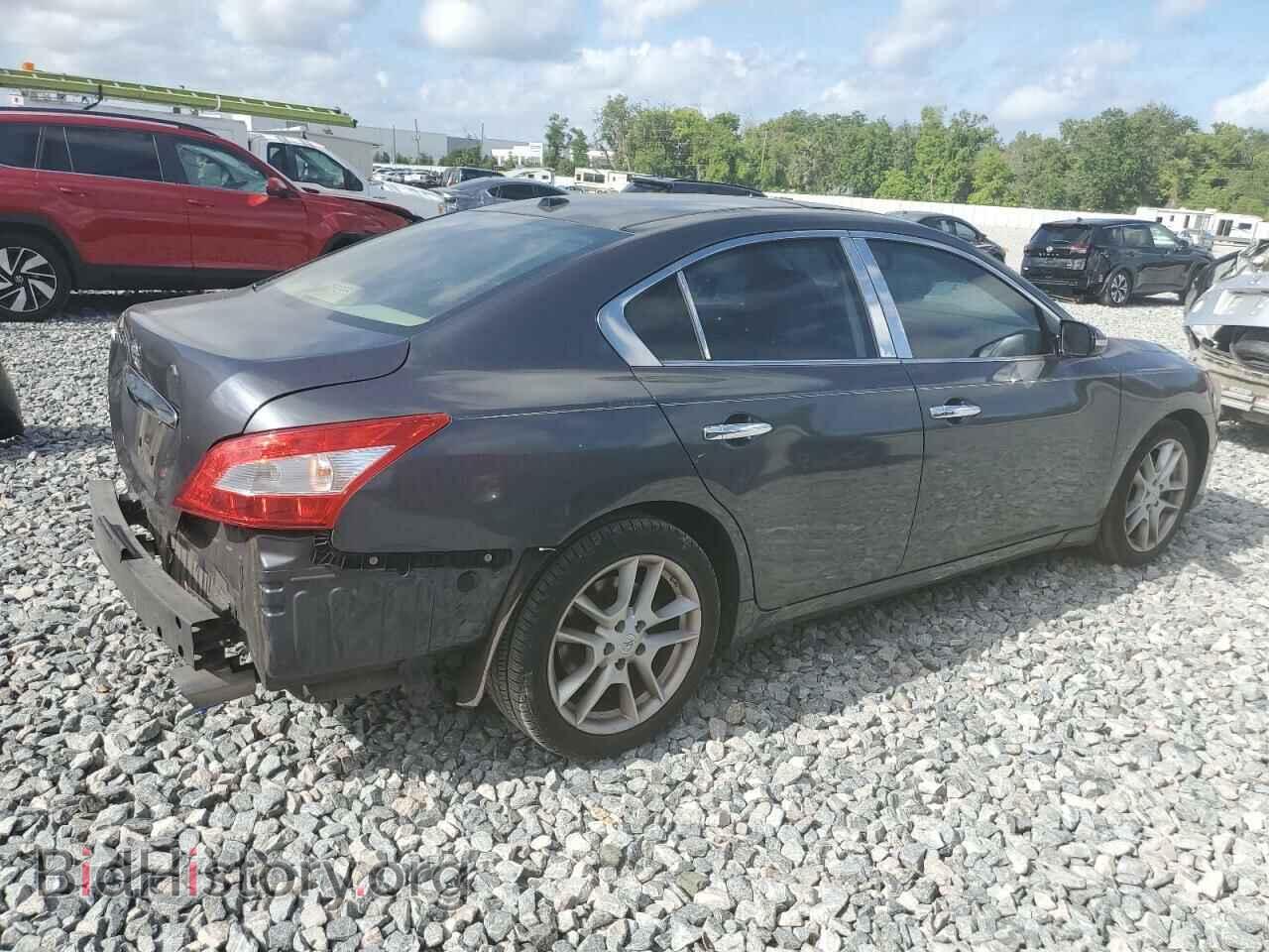 2010 NISSAN MAXIMA - VIN: 1N4AA5AP0AC802452 - Фото 3