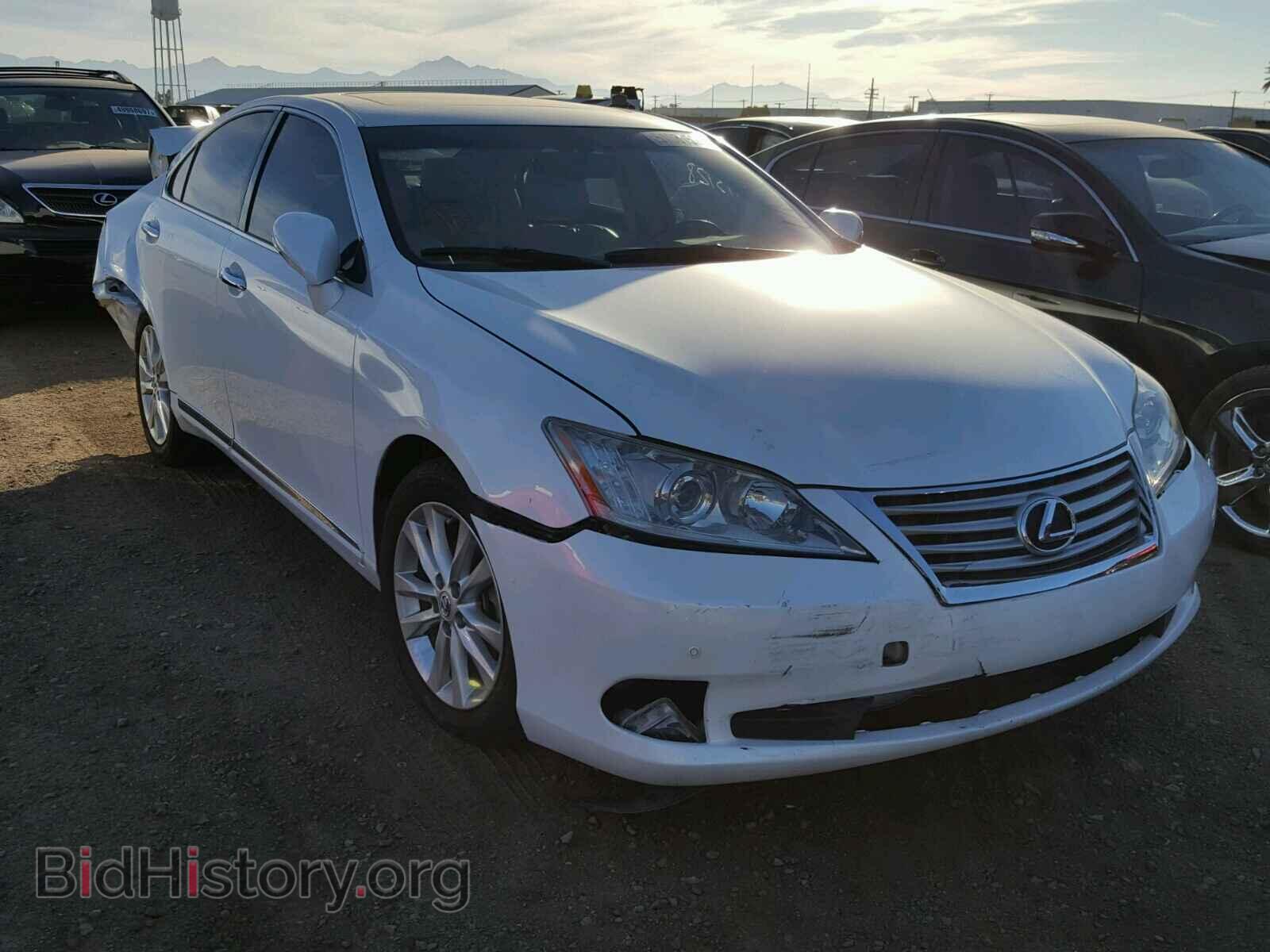 Фотография JTHBK1EG3B2430285 - LEXUS ES350 2011