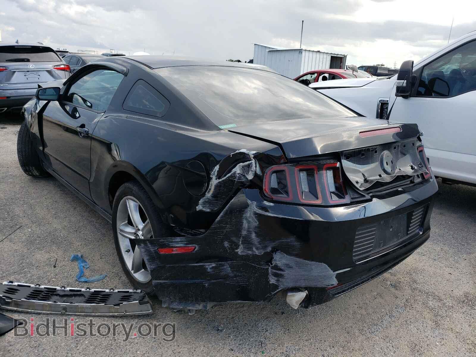 2014 FORD MUSTANG - VIN: 1ZVBP8AM4E5291307 - Фото 3