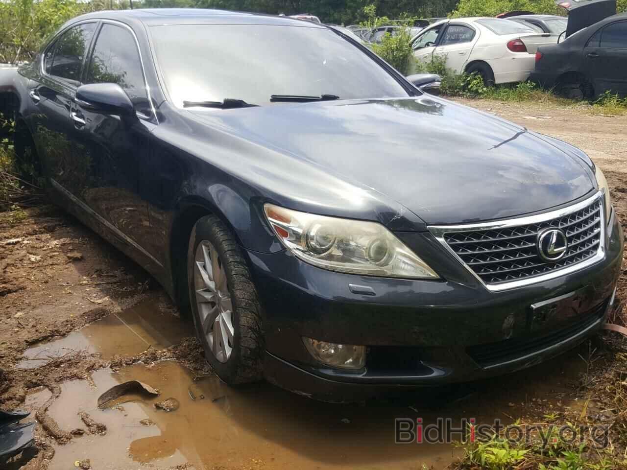 Photo JTHCL5EFXB5012319 - LEXUS LS460 2011