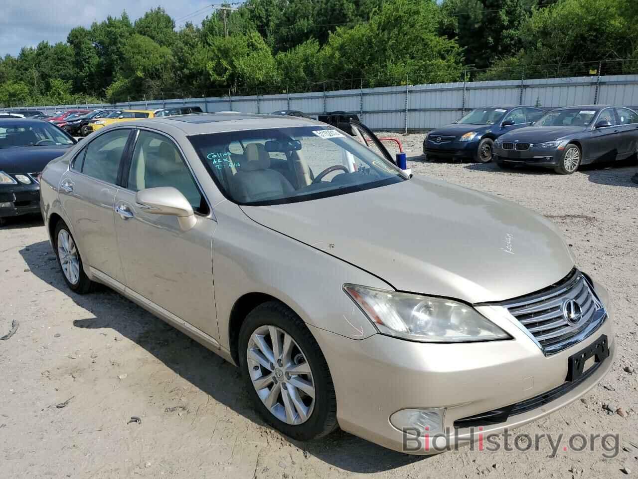 Фотография JTHBK1EG9A2413120 - LEXUS ES350 2010