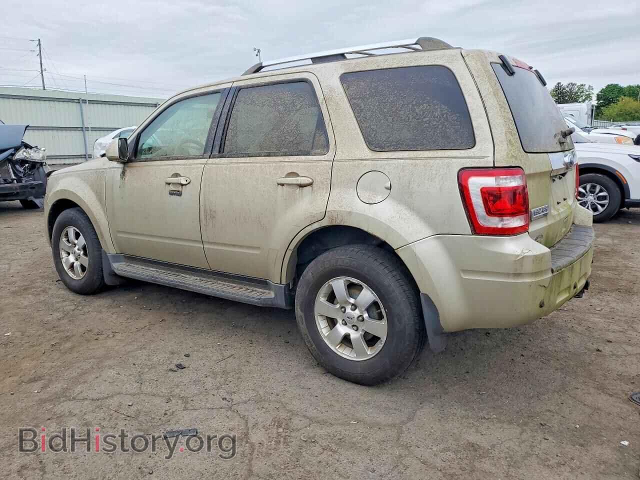 2011 FORD ESCAPE - VIN: 1FMCU9EG0BKB96357 - Фото 2