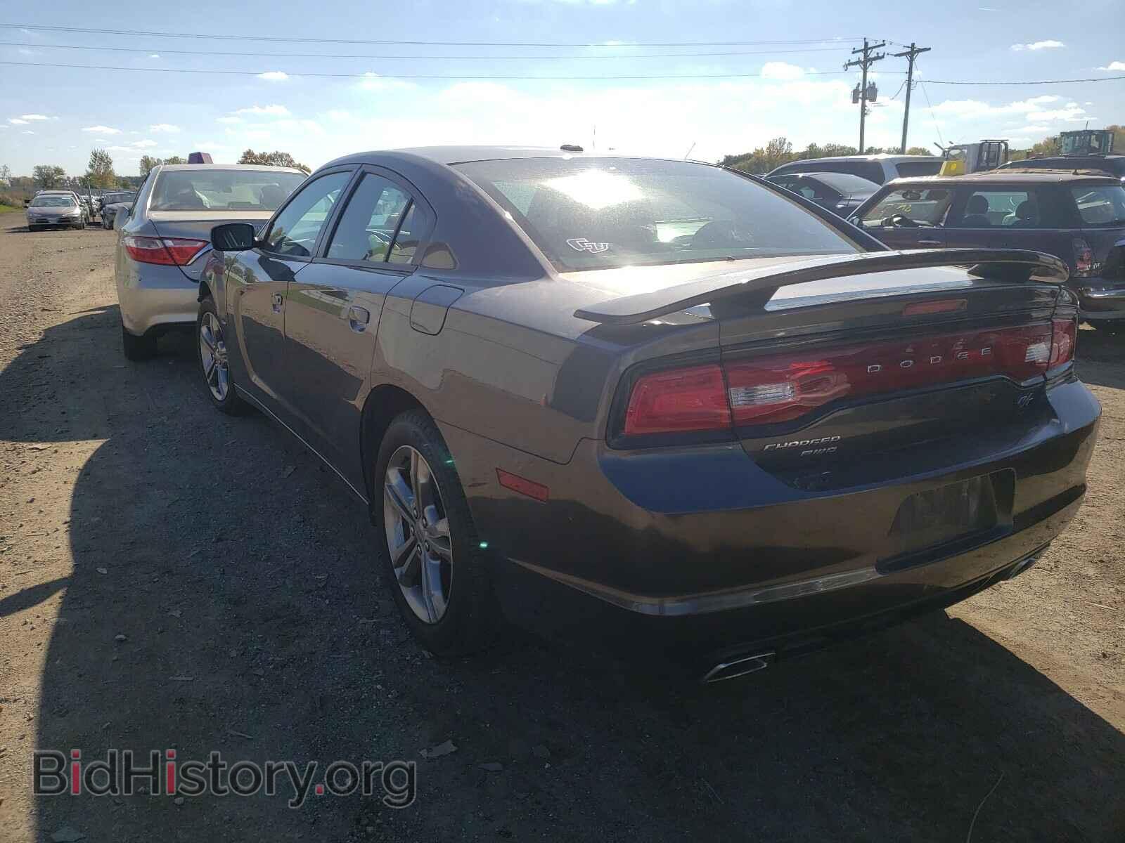 2013 DODGE CHARGER - VIN: 2C3CDXDTXDH711578 - Фото 3