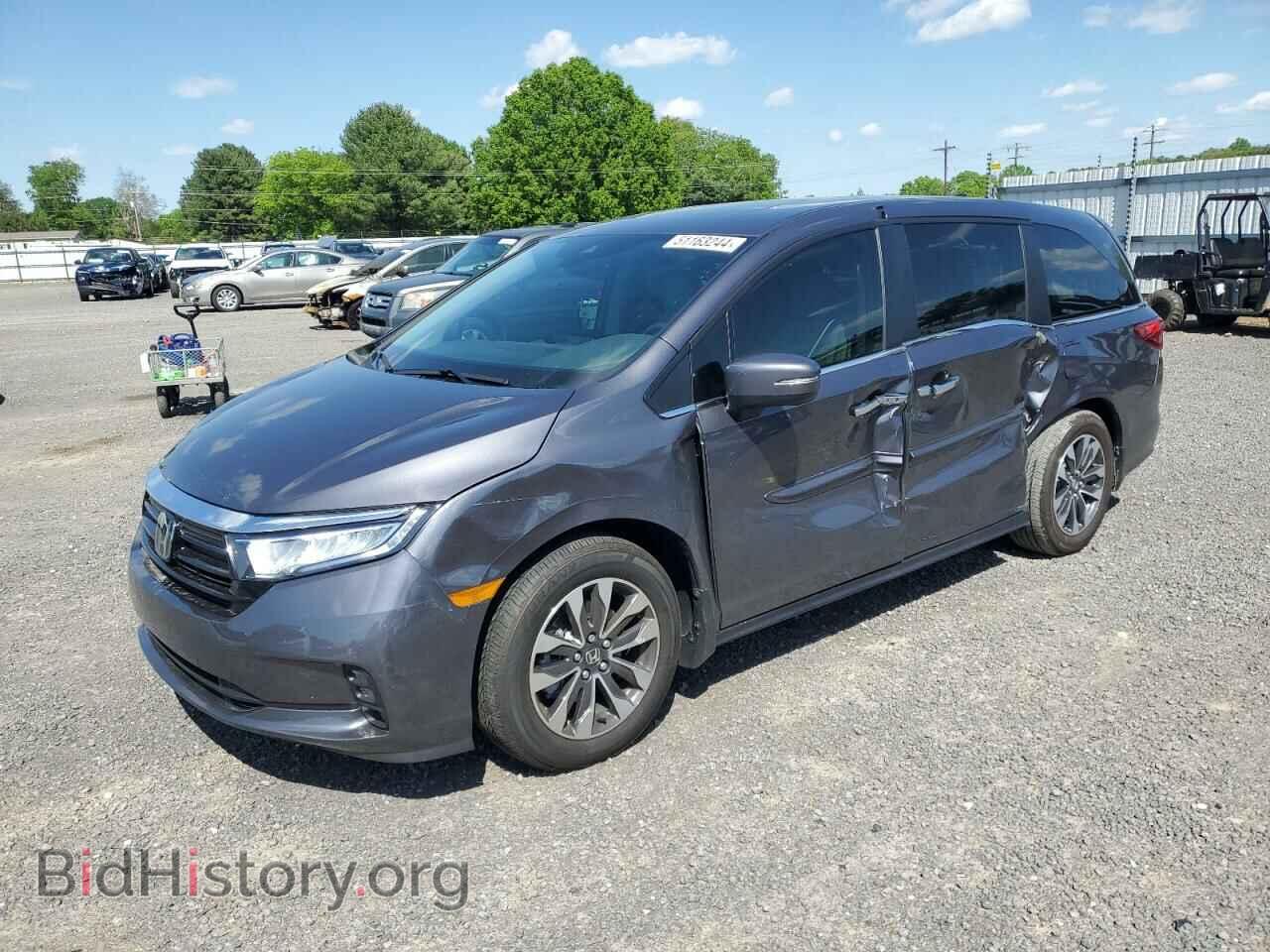 Фотография 5FNRL6H63RB007002 - HONDA All Models 2024