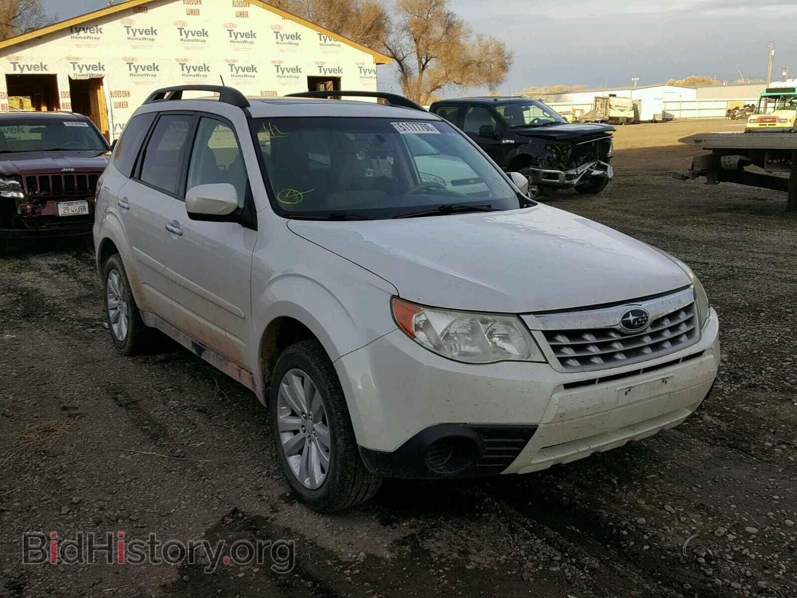 Фотография JF2SHBDC8BH727197 - SUBARU FORESTER 2011
