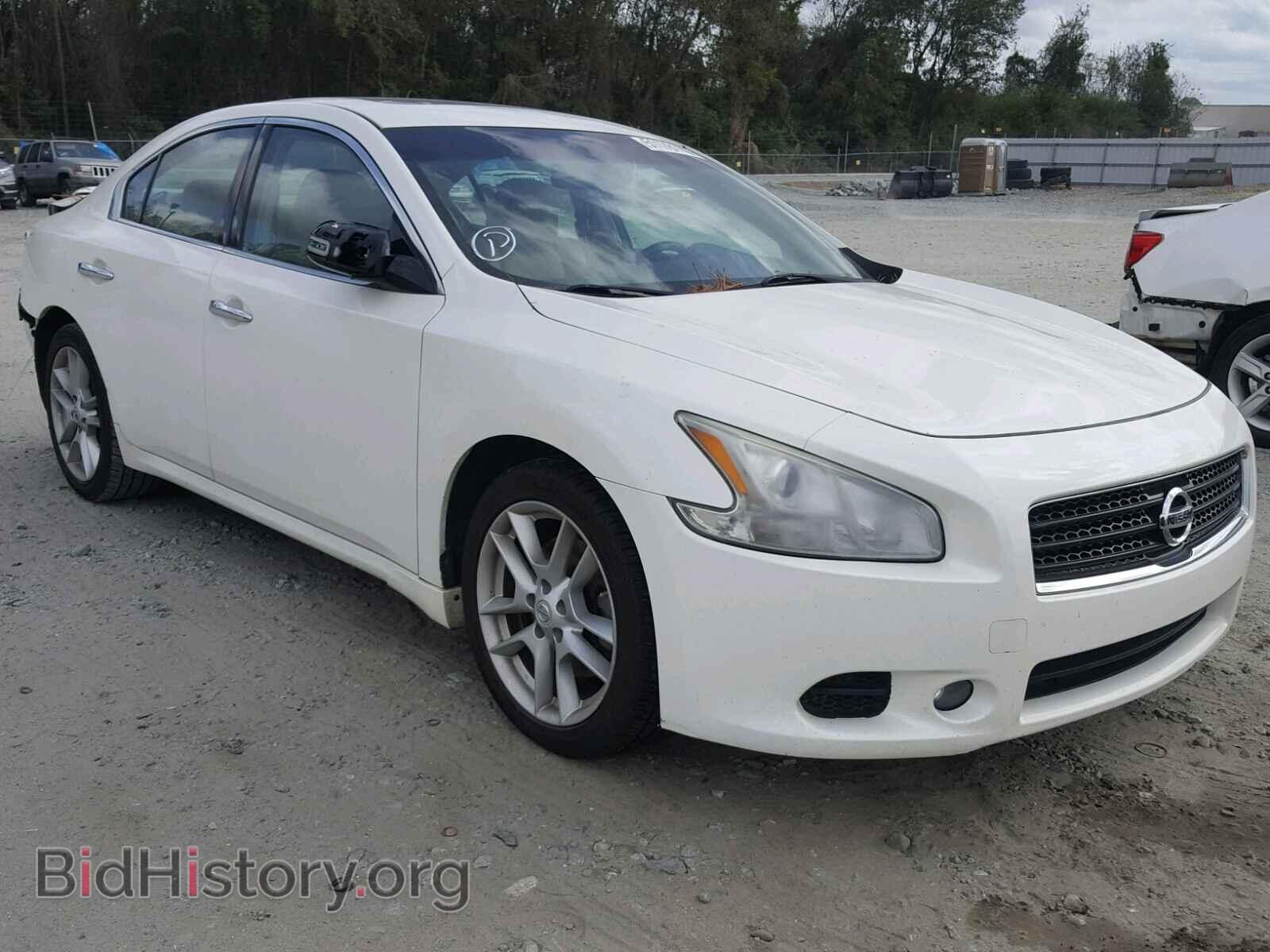 Photo 1N4AA5AP8AC848529 - NISSAN MAXIMA S 2010
