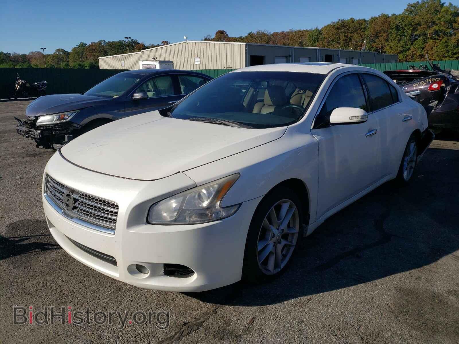 2009 NISSAN MAXIMA - VIN: 1N4AA51E49C801170 - Фото 2