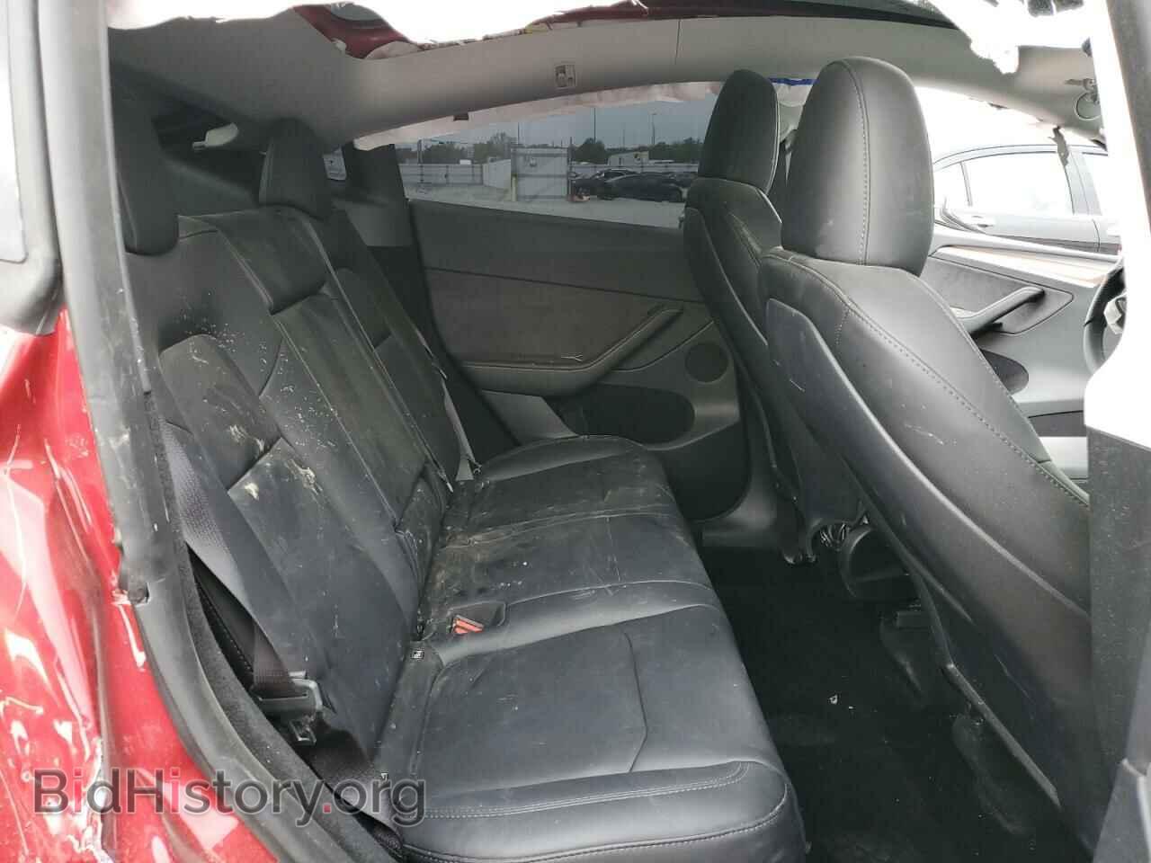 2024 TESLA MODEL Y - VIN: 7SAYGDEE9RF987970 - Фото 10