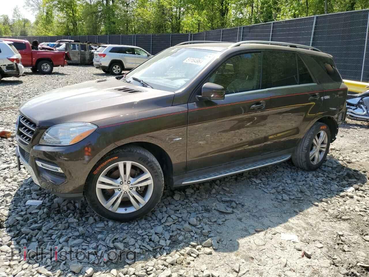 Photo 4JGDA5HB6CA011659 - MERCEDES-BENZ M-CLASS 2012