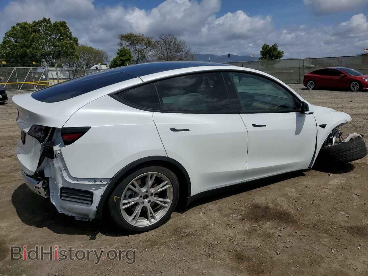 2024 TESLA MODEL Y - VIN: 7SAYGDED4RF054565 - Photo 3