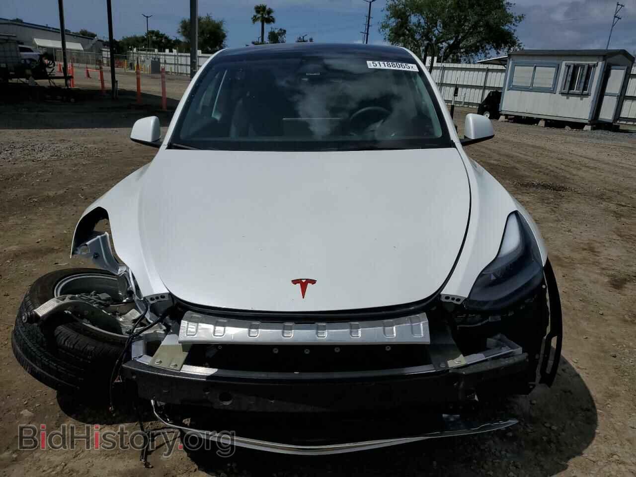 2024 TESLA MODEL Y - VIN: 7SAYGDED4RF054565 - Photo 5