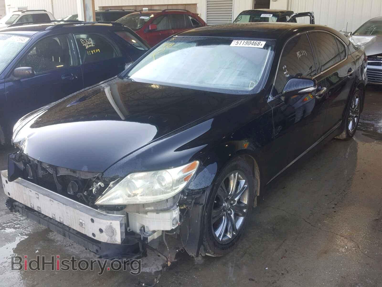 2010 LEXUS LS460 - VIN: JTHCL5EF8A5004945 - Фото 2