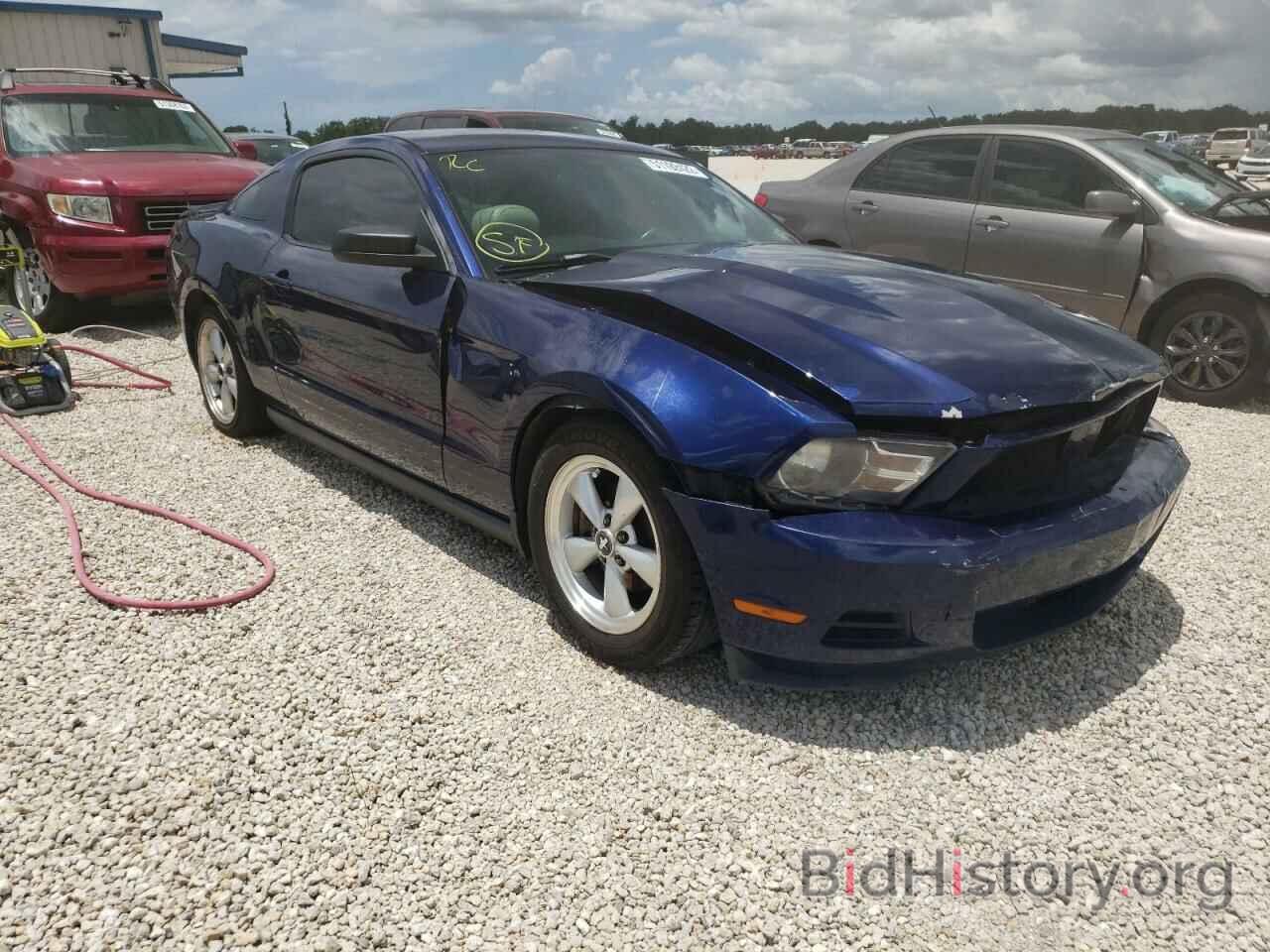 Photo 1ZVBP8AN2A5109042 - FORD MUSTANG 2010