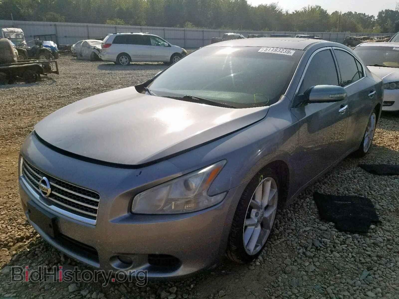 2009 NISSAN MAXIMA - VIN: 1N4AA51E19C826544 - Фото 2