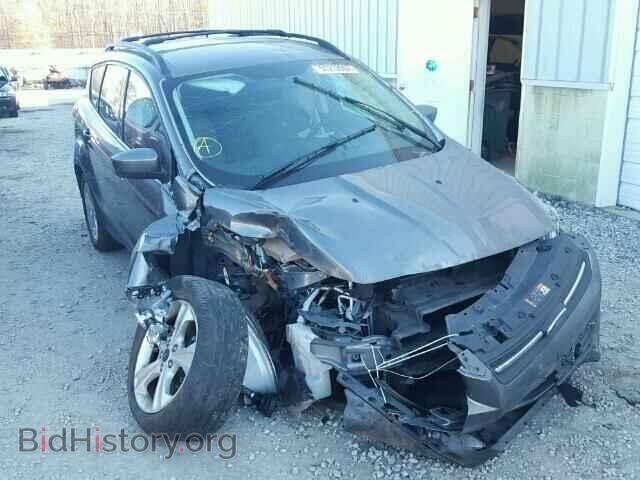 Photo 1FMCU0G99DUC36176 - FORD ESCAPE 2013