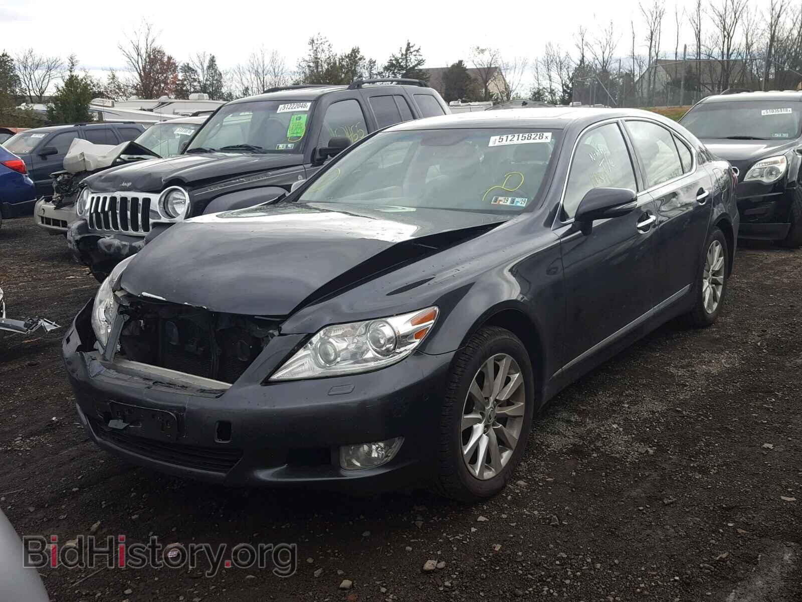 2010 LEXUS LS460 - VIN: JTHCL5EF7A5008310 - Фото 2