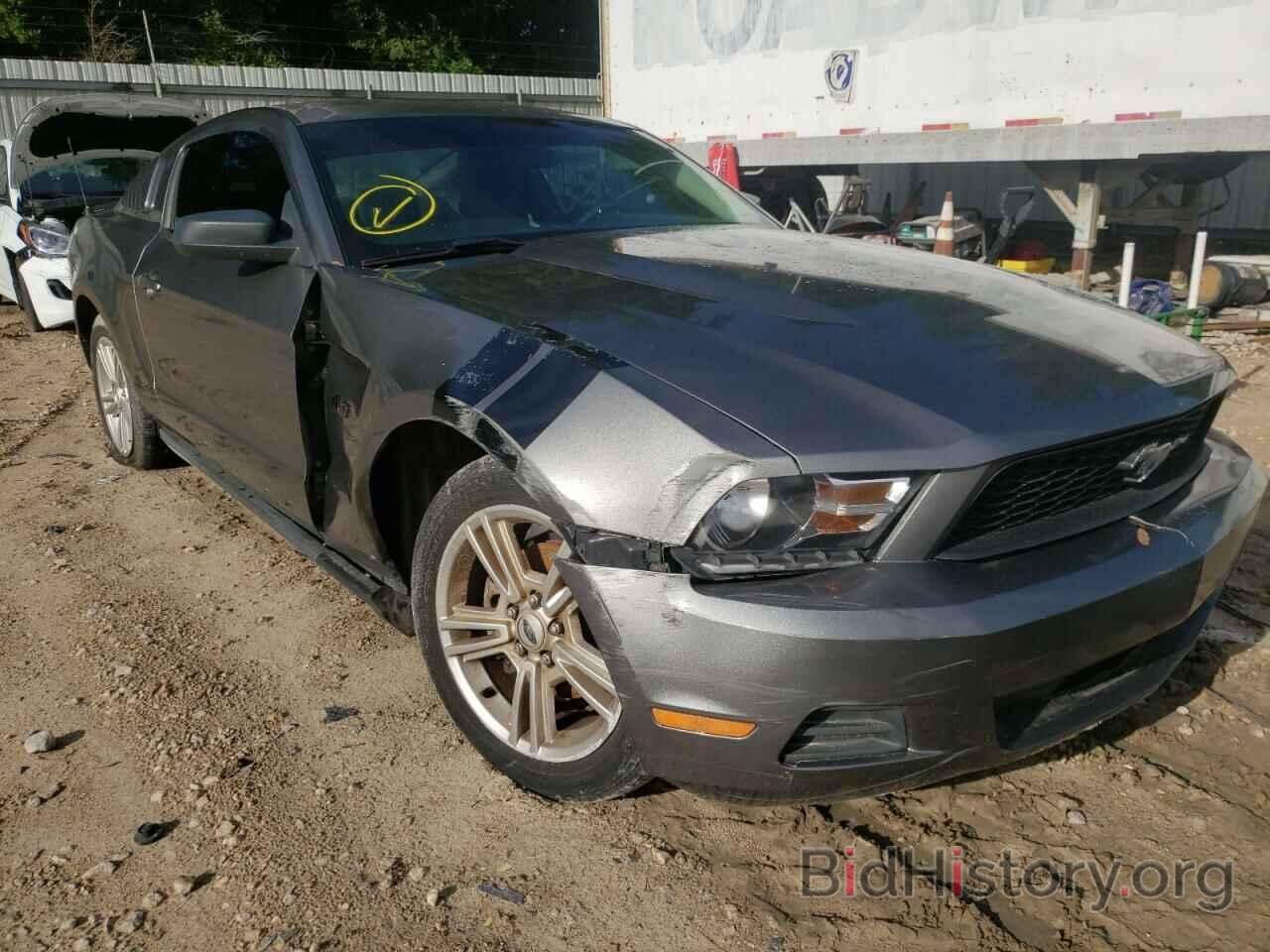 Photo 1ZVBP8AN5A5141340 - FORD MUSTANG 2010