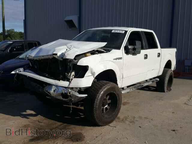 2013 FORD F150 - VIN: 1FTFW1EF8DFD31245 - Фото 2